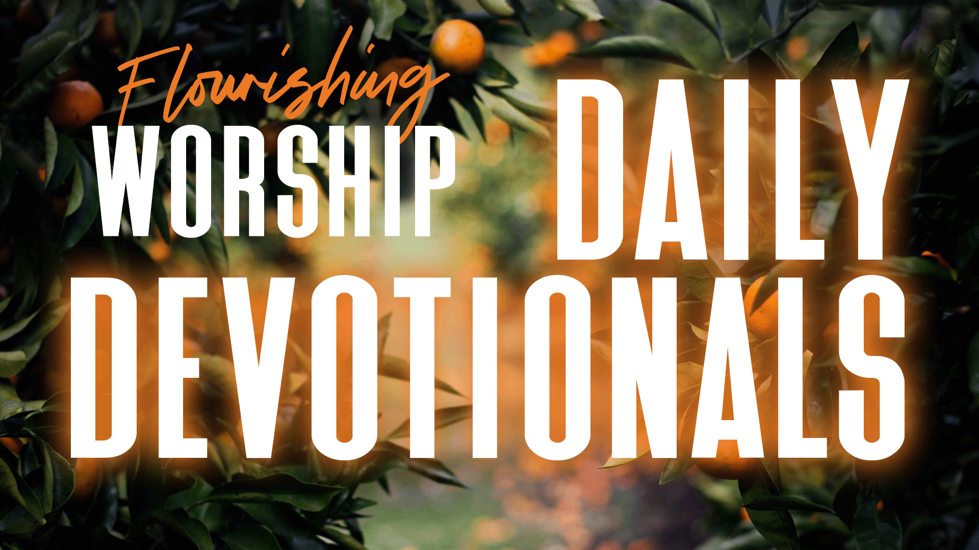 Flourishing Worship Daily Devos